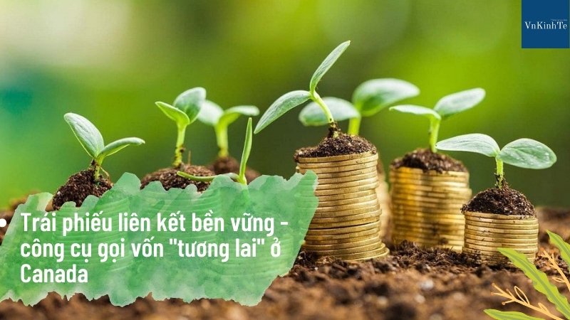 Các trái phiếu liên kết bền vững - đây là cách chúng hoạt động