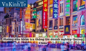 hướng dẫn kiểm tra thông tin doanh nghiệp quảng châu (3)