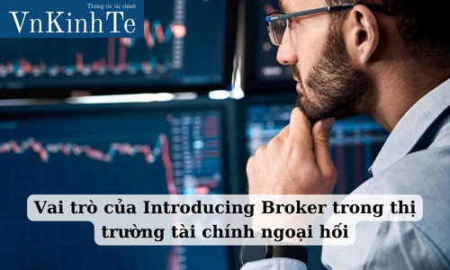 vai trò của introducing broker trong thị trường tài chính ngoại hối